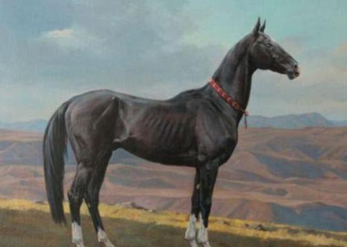 汉武帝为什么要举国之力去找汗血宝马