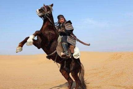 许多人都知道“杨家将”和“呼家将”，为什么不知道功高如山的“史家将”