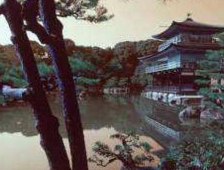 晋景公要诛杀赵家的原因是什么 他最后是怎么死的