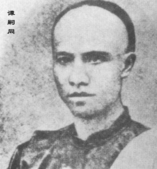 如何评价谭嗣同的变法论