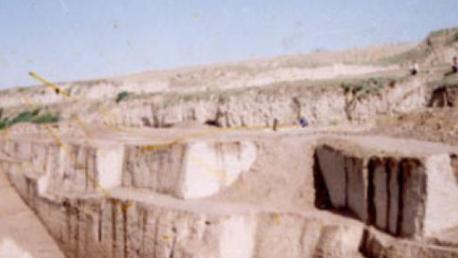 秦悼公为什么会修筑雍城