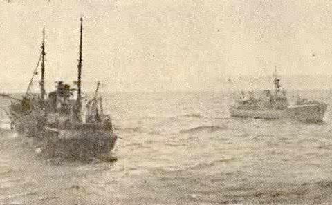 鳕鱼战争：这种小小的鱼类为什么会引发英国与冰岛之间三次战争