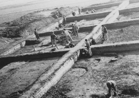 徐中舒有着怎样的学术贡献