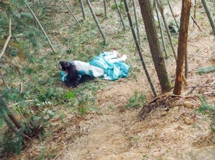 太子李建成被杀后 李世民是怎么对待他的后代的