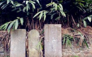 长孙无忌是李治的亲舅舅，李治为什么要把他扳倒