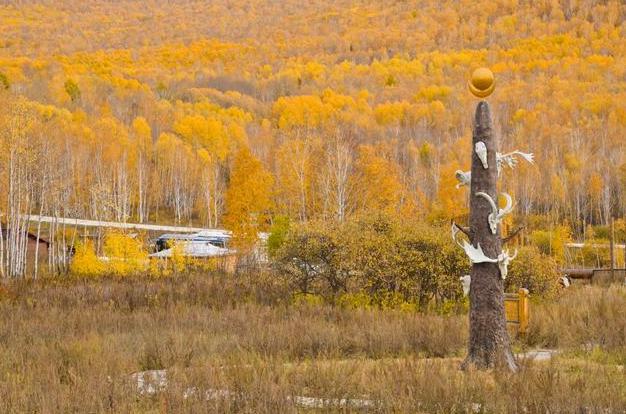 中国古代游牧民族是怎么发展的