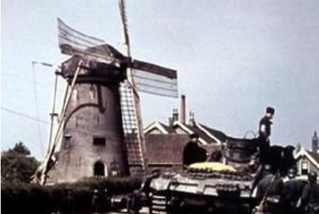 黄色计划的结果如何 黄色计划的过程是什么样的