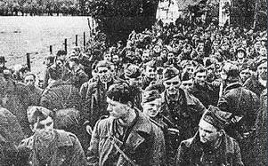 黄色计划的结果如何 黄色计划的过程是什么样的