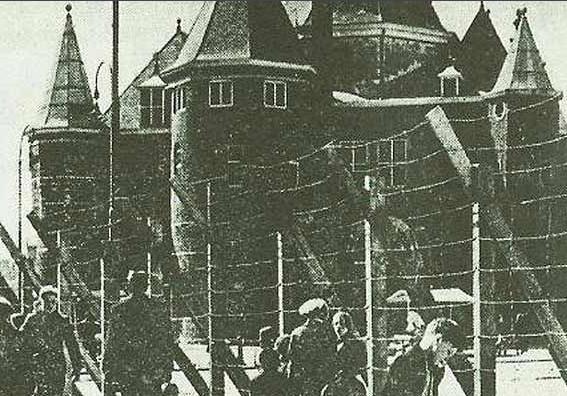 黄色计划的结果如何 黄色计划的过程是什么样的