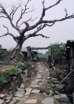 中国古代的大路为什么又被称为官路