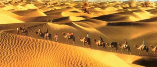 莎车国为什么不愿意臣服汉朝