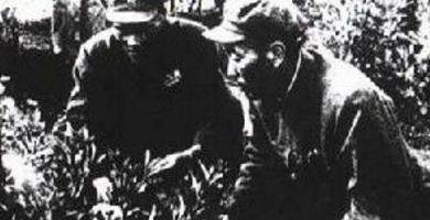 谭冠三生平事迹介绍 为什么张国华和他会被派到那里去的