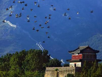 李自成的军队是真的乌合之众吗 李自成的百万军队为什么打不过几万清军