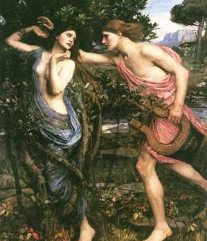 阿波罗和月桂树的神话传说出自哪里?