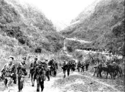 法卡山战役中我军战斗怎么样 是如何打击越军的气焰的