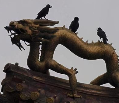 乾隆给大臣赏赐肘子 官员出宫后为什么就丢了