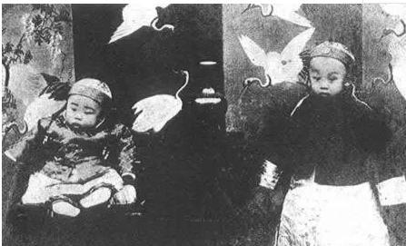 慈禧让溥仪继承皇位时，隆裕为什么急着问他有几个爹