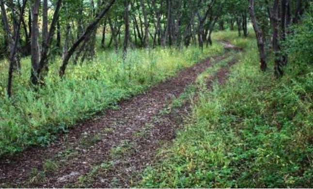 龙兴之地的地址在哪里