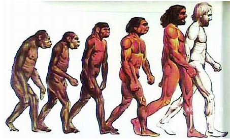 人类是怎么进化的 十五个问题看人类进化的谜团
