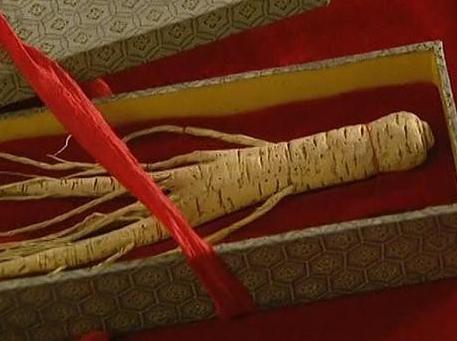 清朝官员天天吃白菜 为什么雍正会将这一位清廉的官员满门抄斩呢