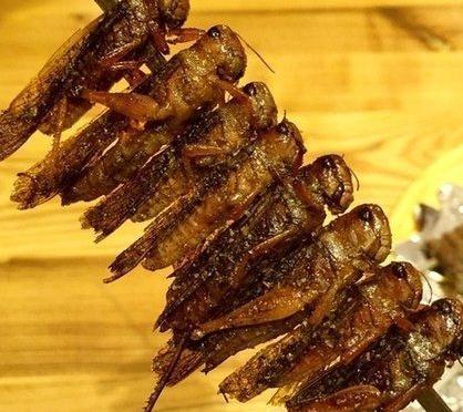 为什么史书中的频频出现的蝗灾到了现在就没有了 其实原因很简单