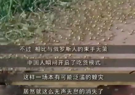 为什么史书中的频频出现的蝗灾到了现在就没有了 其实原因很简单