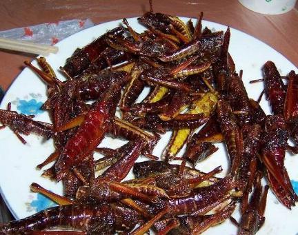 为什么史书中的频频出现的蝗灾到了现在就没有了 其实原因很简单