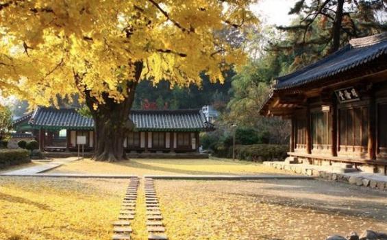 韩国是怎么把郑国灭掉的