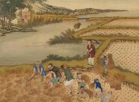 探索唐朝土地制度，当时的土地制度是如何发展的