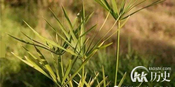 （图解）世界八大奇迹中的埃及金字塔是怎么建成的