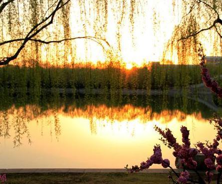 古代没有闹钟做定时 大臣们是如何按时上早朝的