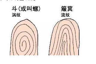 古代为什么需要画押按手印，古人靠什么来识别指纹呢