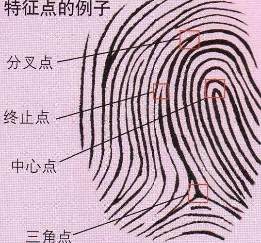 古代为什么需要画押按手印，古人靠什么来识别指纹呢