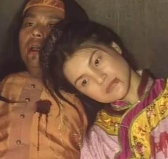 归辛树三人武功这么高，怎么被几十个侍卫给搞死了！