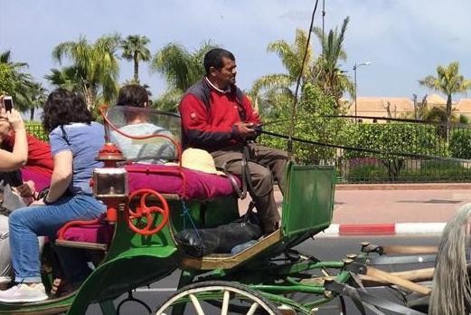 为什么说摩洛哥是一个假的非洲国家