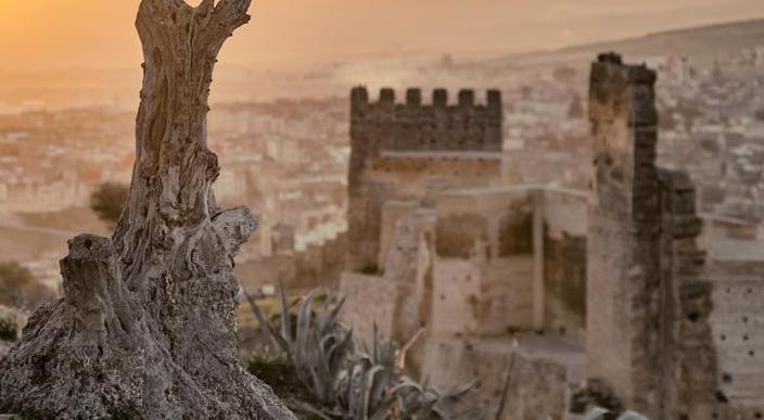 为什么说摩洛哥是一个假的非洲国家