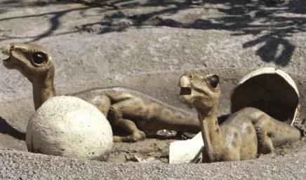 恐龙在地球上生活了几亿年，为什么没怎么进化