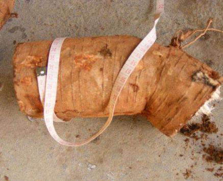 伤寒学派的发展历程是怎么样的