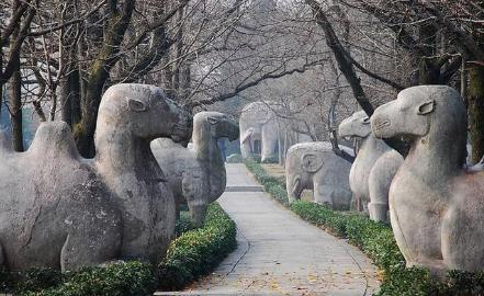 朱元璋和马皇后为什么会陆续收养了十几个养子 收养的原因是什么