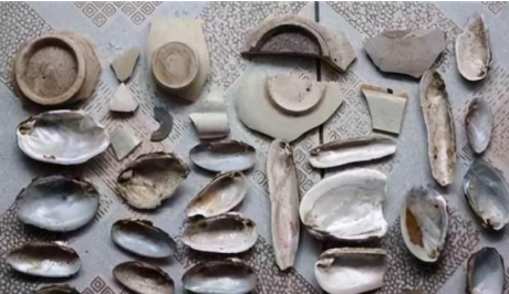 古代贝壳货币是如何发展的