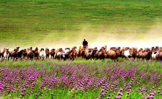 草原部落政权是怎么形成的