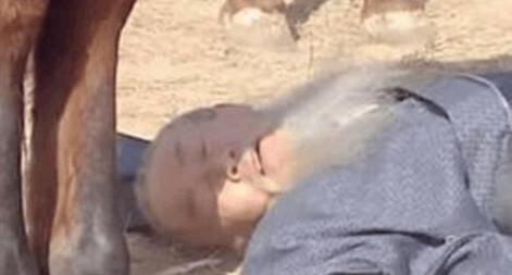 历史上的王朗到底是怎么死的 真的是被诸葛亮骂死的吗