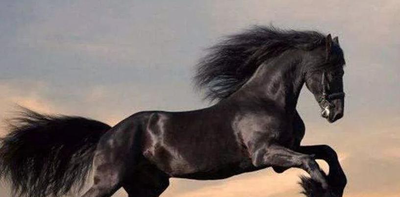 为什么入侵中原的都是北方少数民族