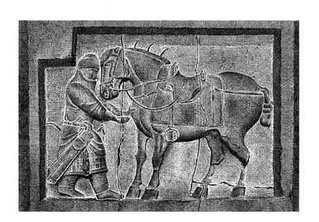 为什么入侵中原的都是北方少数民族