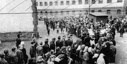 河豚鱼计划中为什么日本人突然变性的对犹太人好起来呢