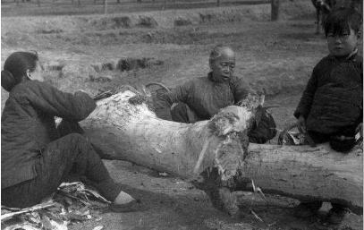 河南大饥荒期间陕西有什么独特之处 为什么灾民不选临近省市