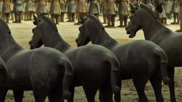 秦朝一统天下，横扫六国的虎狼之师，是如何炼成的