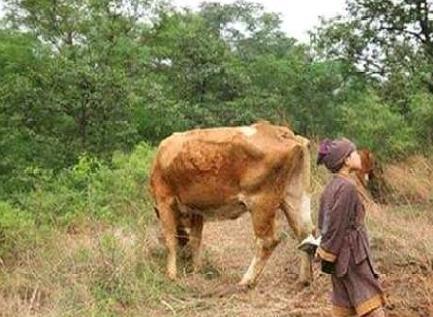 朱元璋当上皇帝之后 他是怎么对待当初的地主的