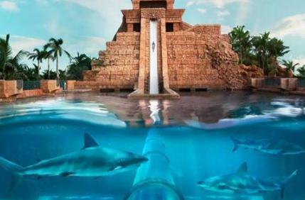 大西国传说是是怎么样的