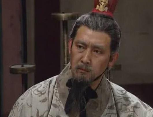 魏国动荡大将主动投降，姜维北伐明明取得了胜利，为什么突然撤退